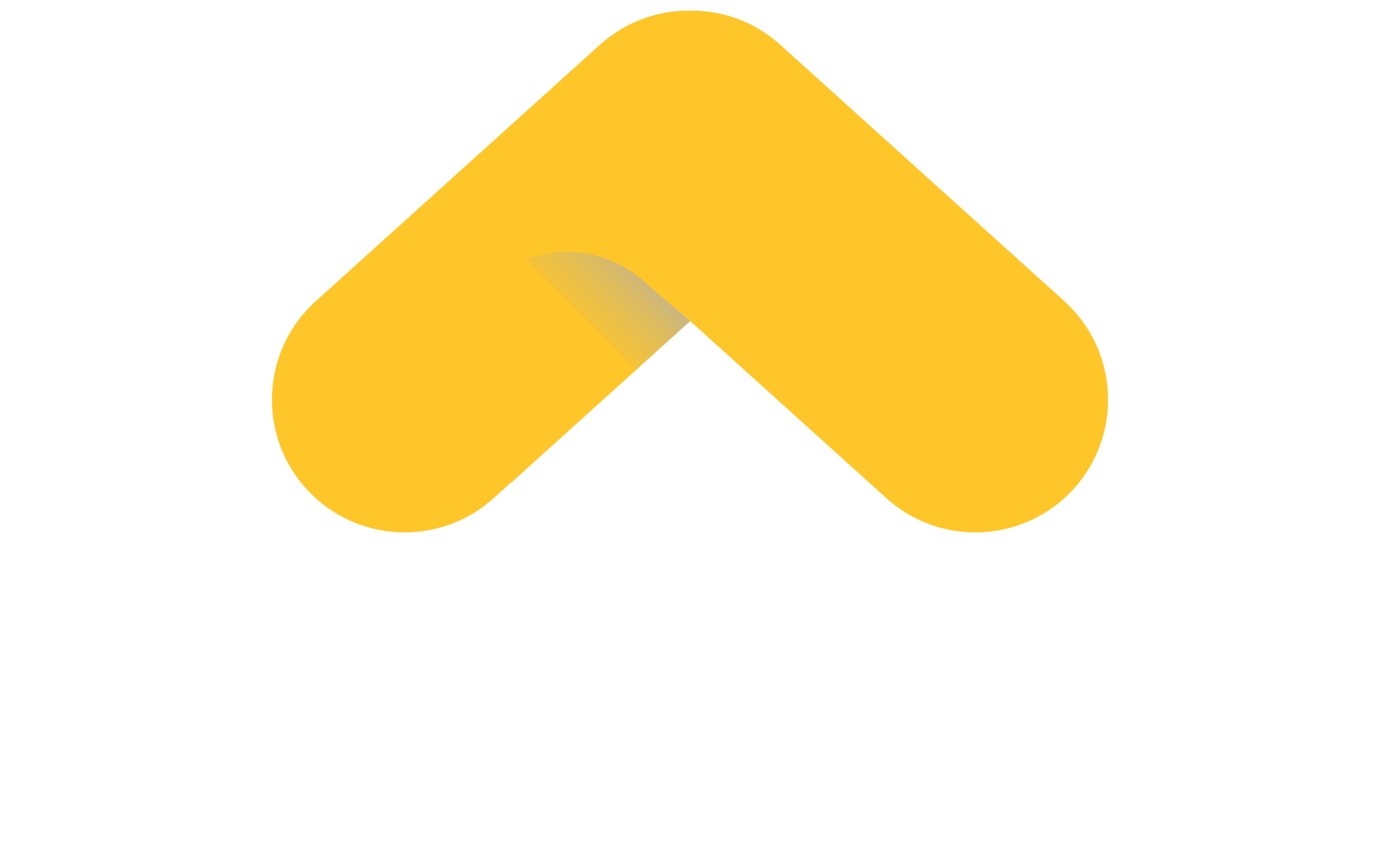 PMG-Logo-white